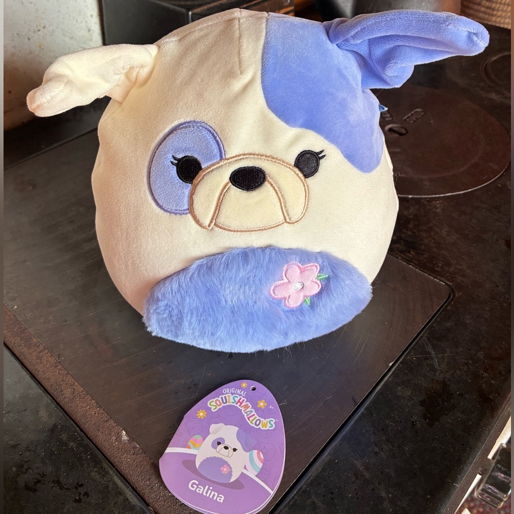 Squishmallows Galina Bulldog 8” Plush Toy 2024 Easter Spring GUC